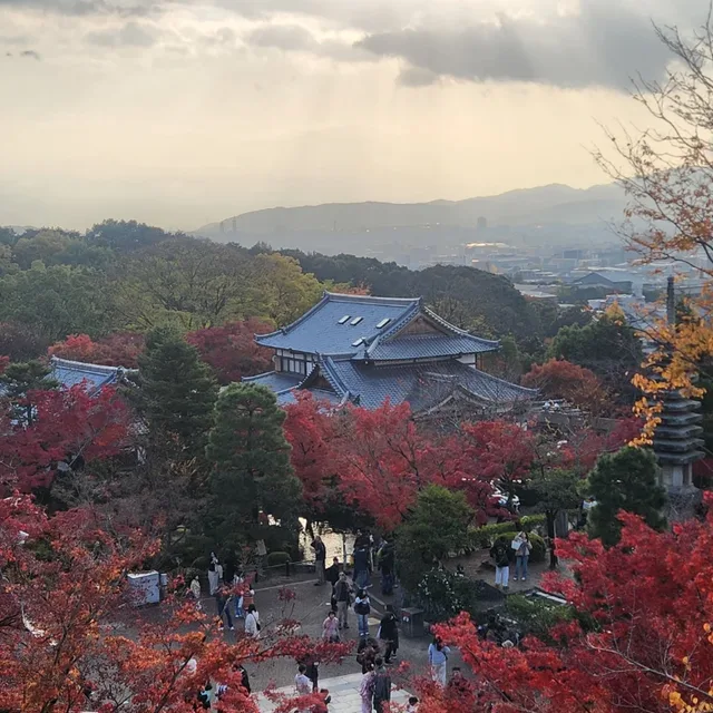 해피빈