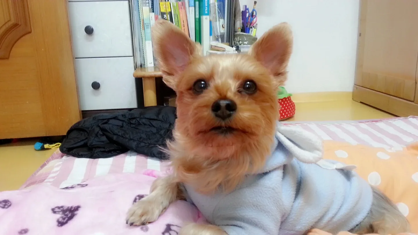 전포쿠키맘