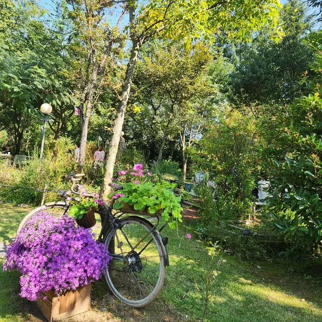 고운봄