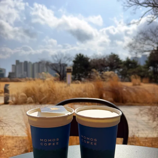 토로토