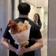 레오78