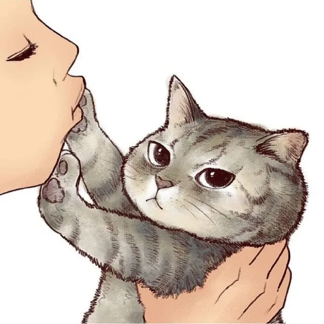 코땡