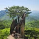 봄봄