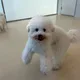 요여미