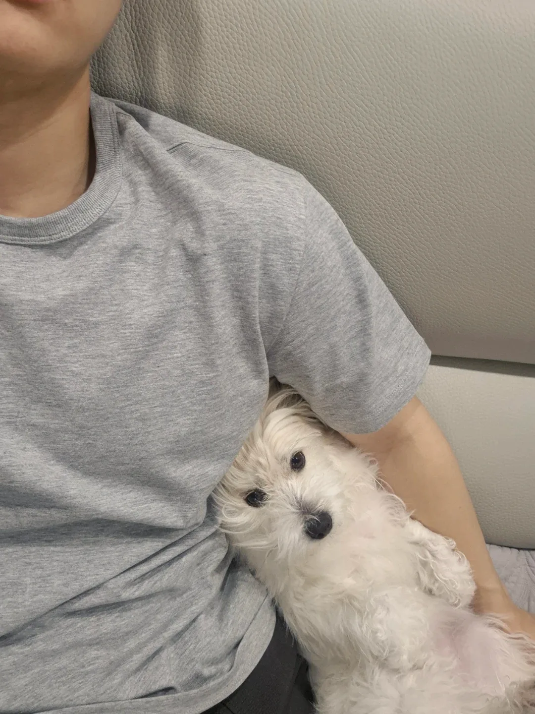 조이