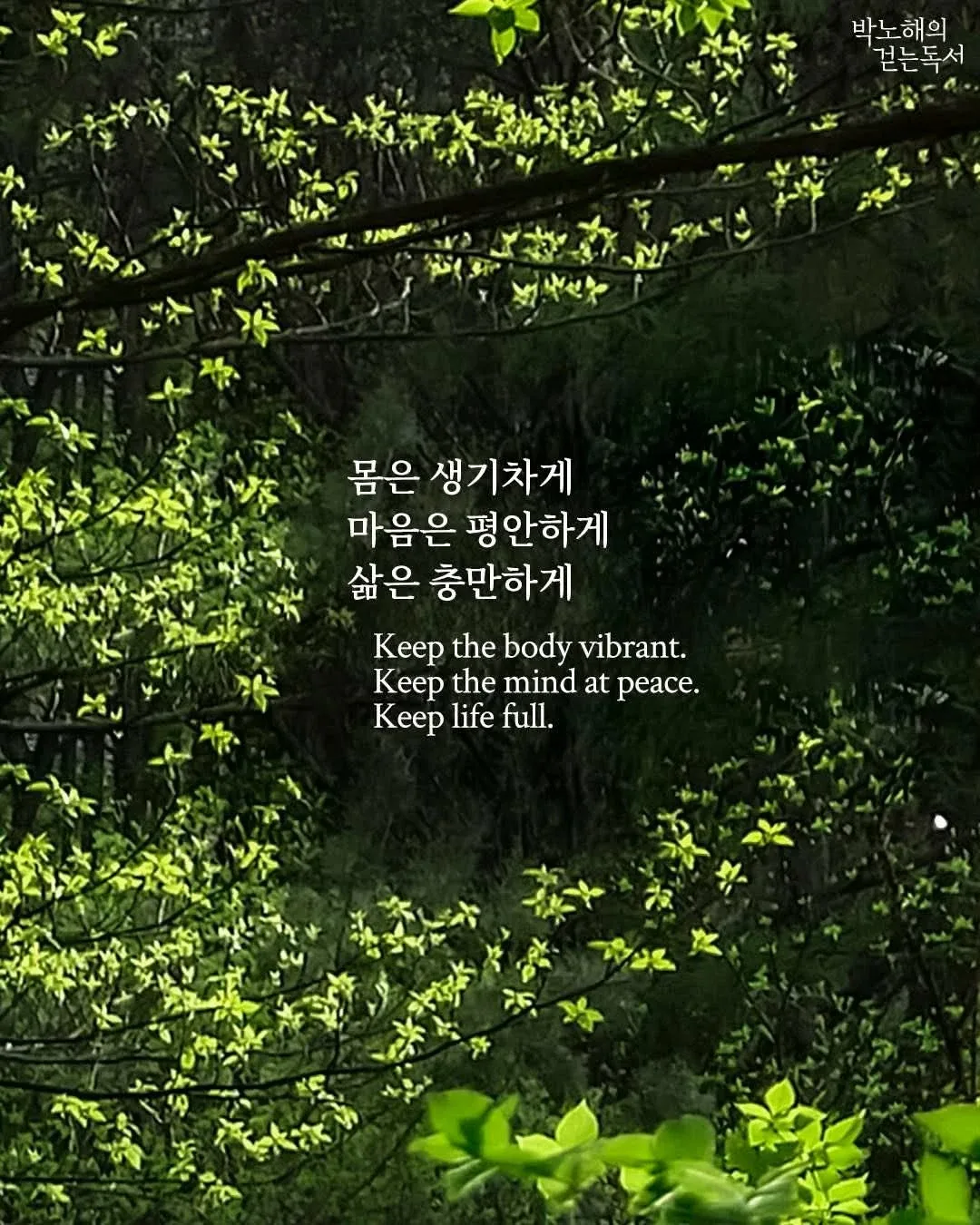 봄길