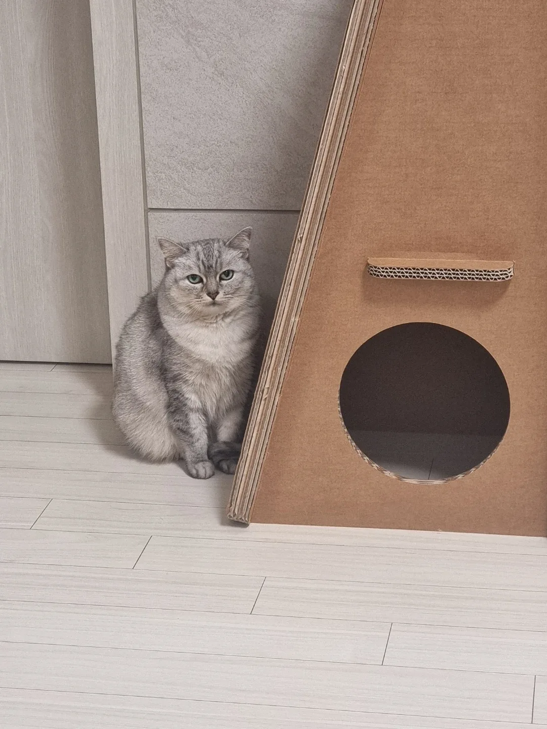 파닥파닥