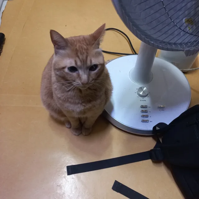 비움의미학