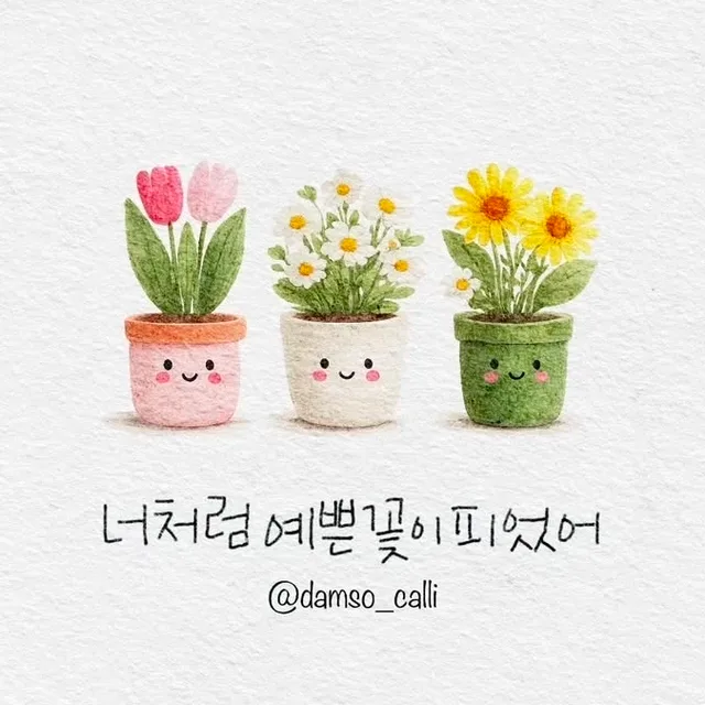 남매맘