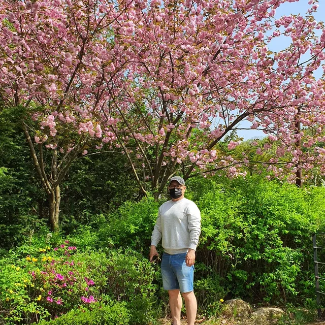건강한바람