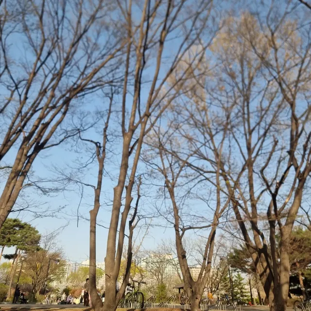 이이엔