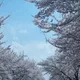 하늘