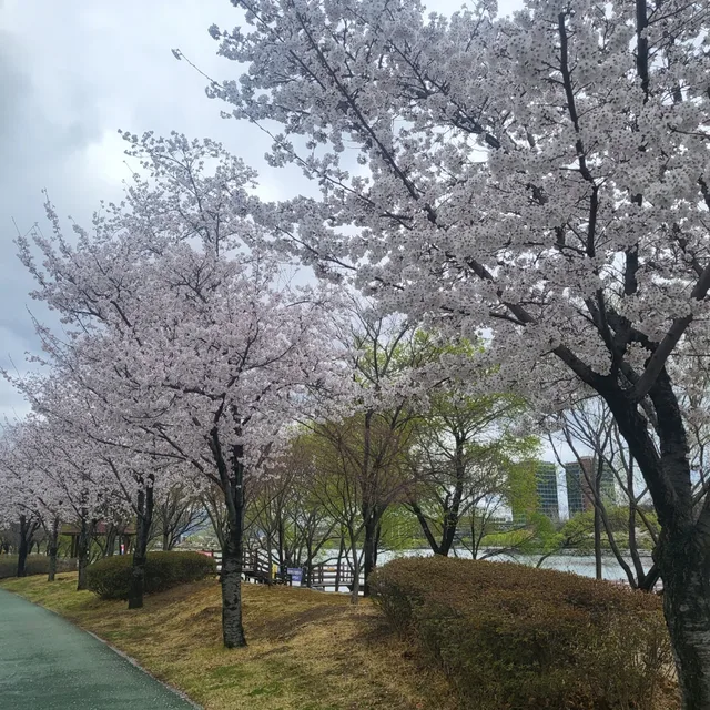 프리5