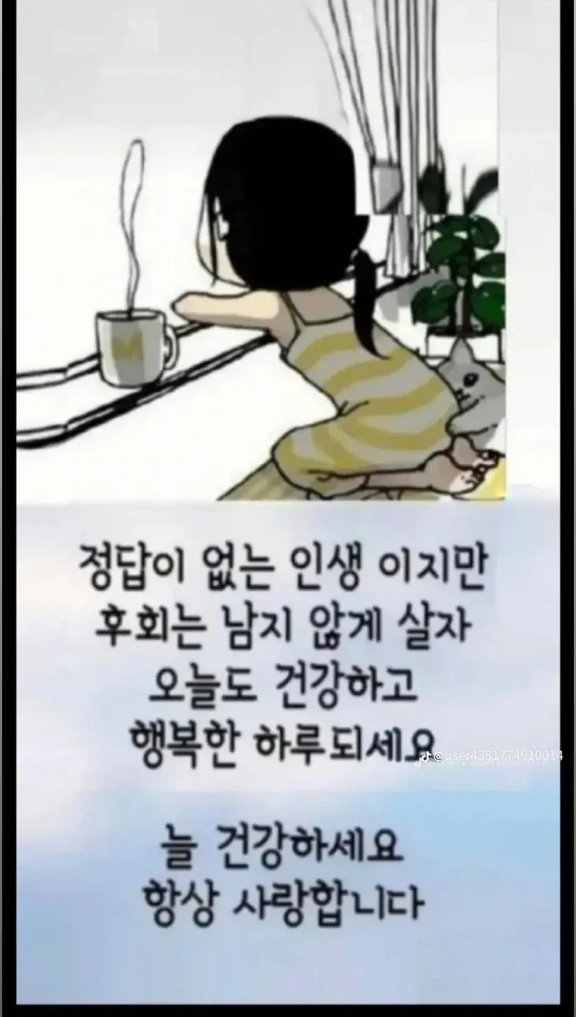 내보물