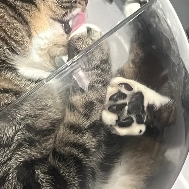 옷장정리