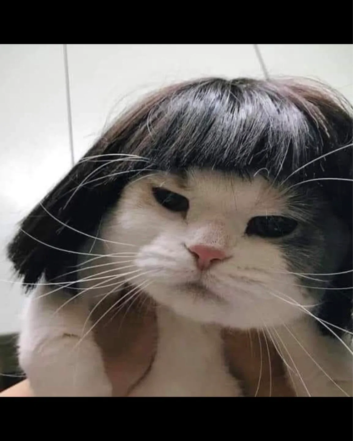 딩동댕
