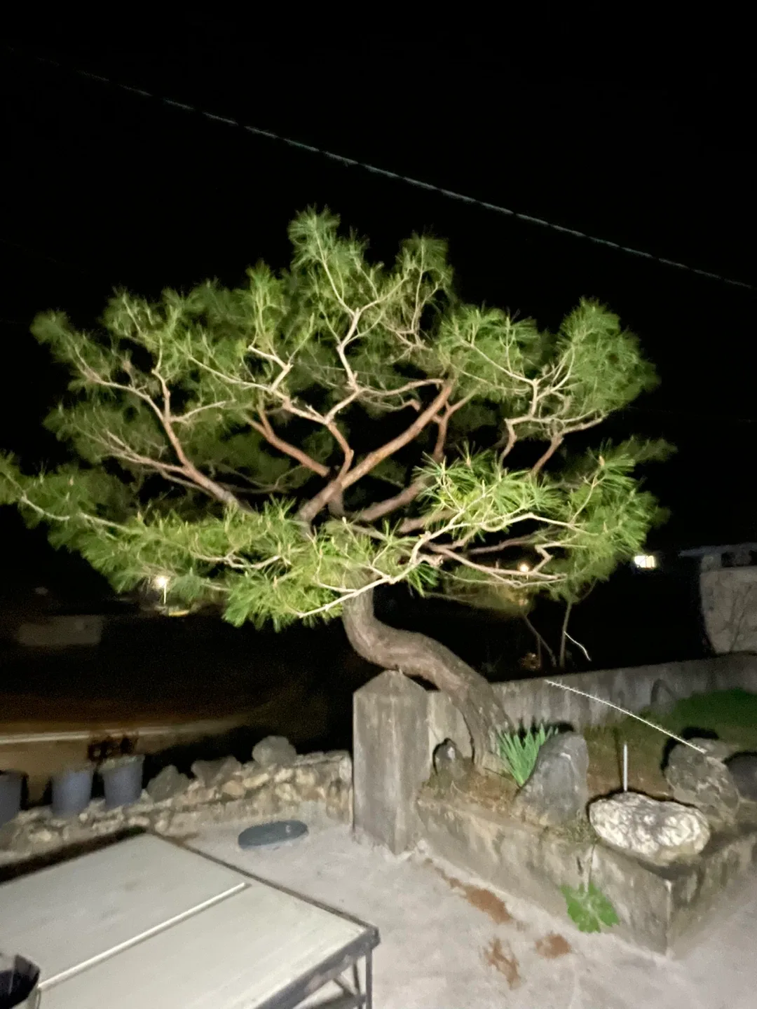 수수