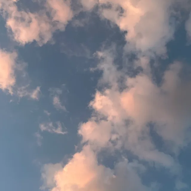 금은동