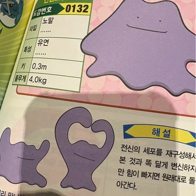 집지키기