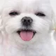 민아맘