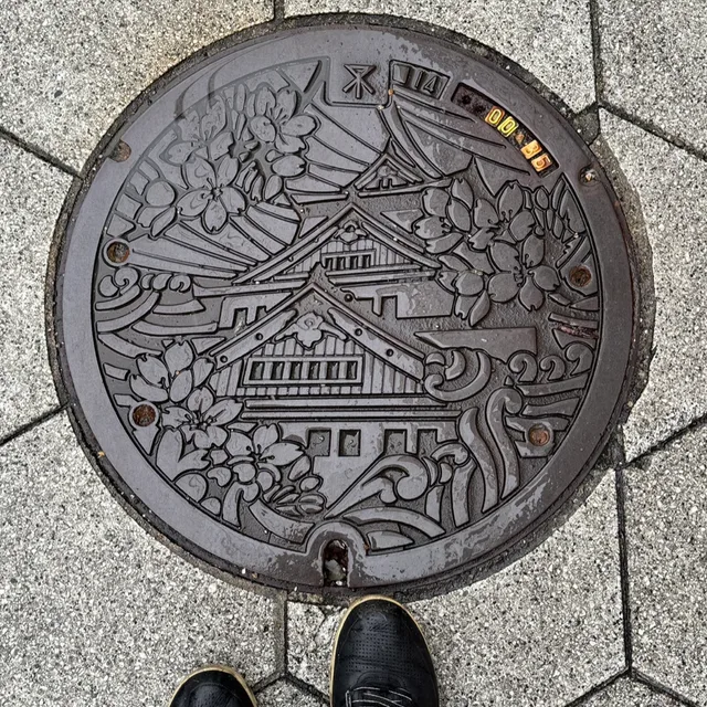 다이소플젝
