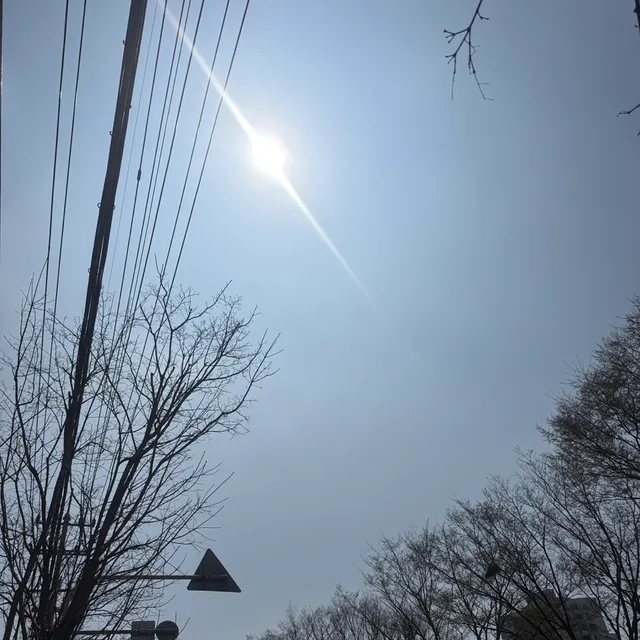 얏호우