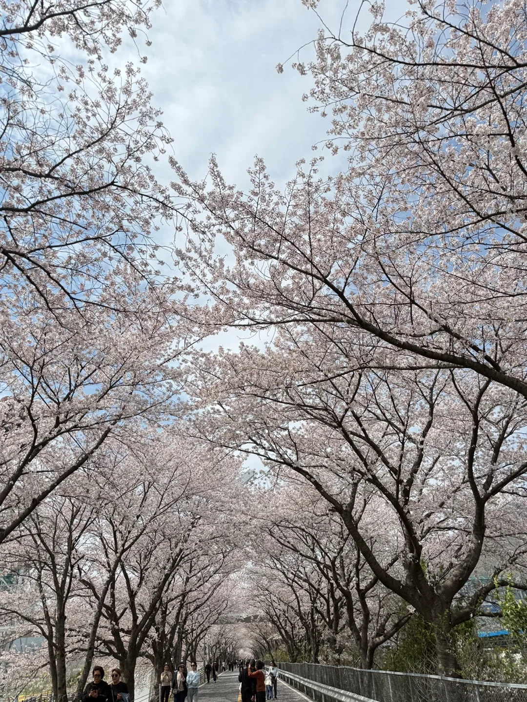 필링