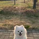 클라우드