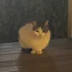 역삼무궁화공원