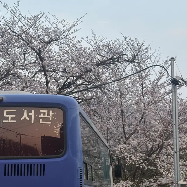 롱렁