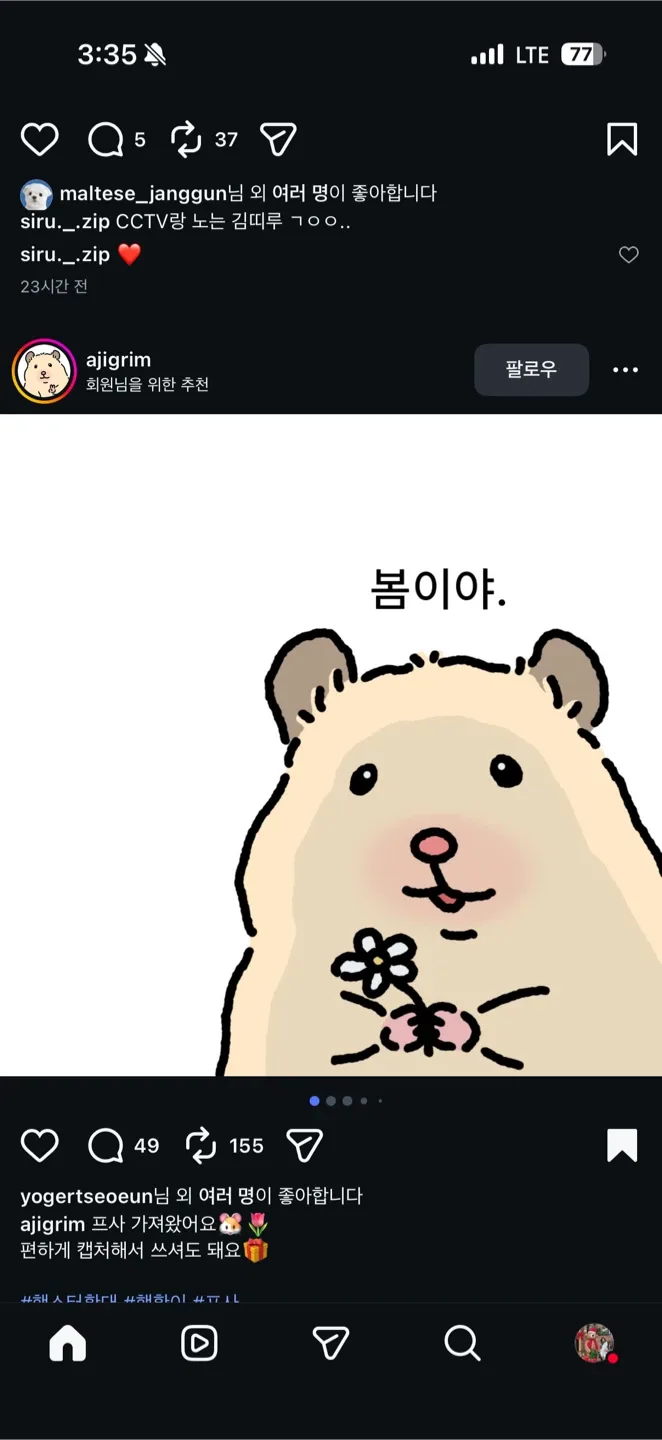 짱년이