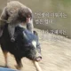 눈누난나