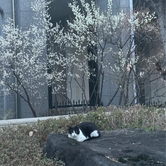 밥이인형