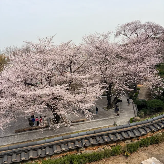 오서리