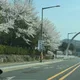 신난다당근