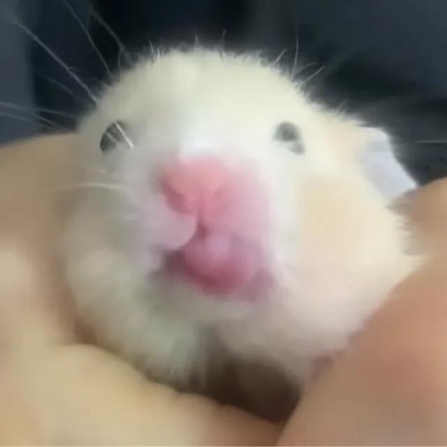 돈이없어