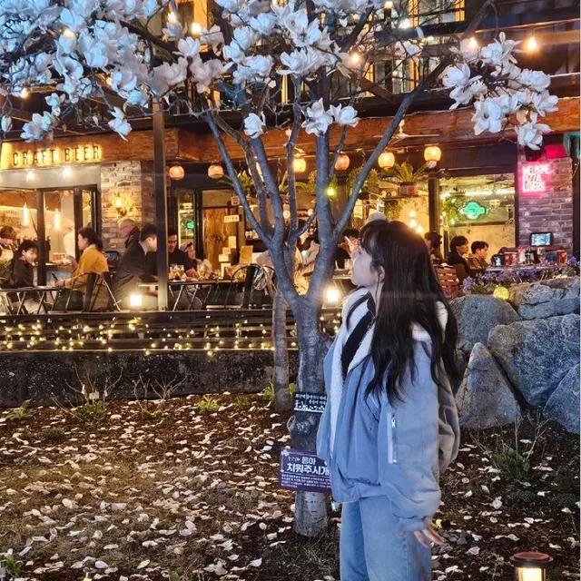 씽씽이