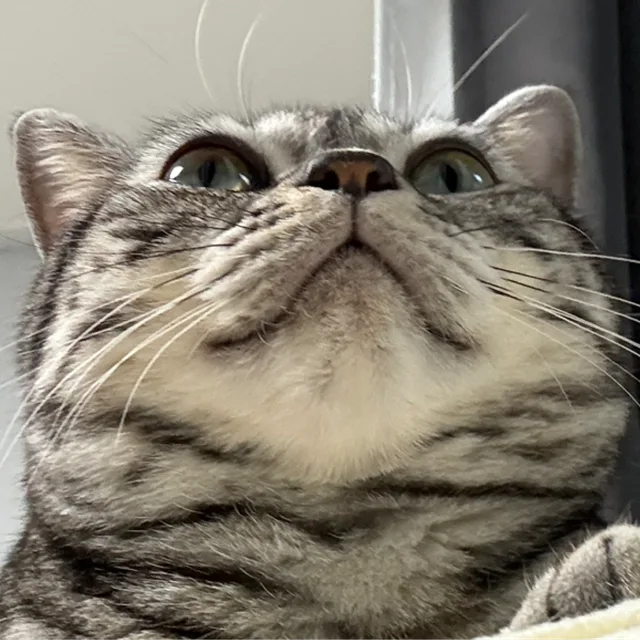 땅근땅근