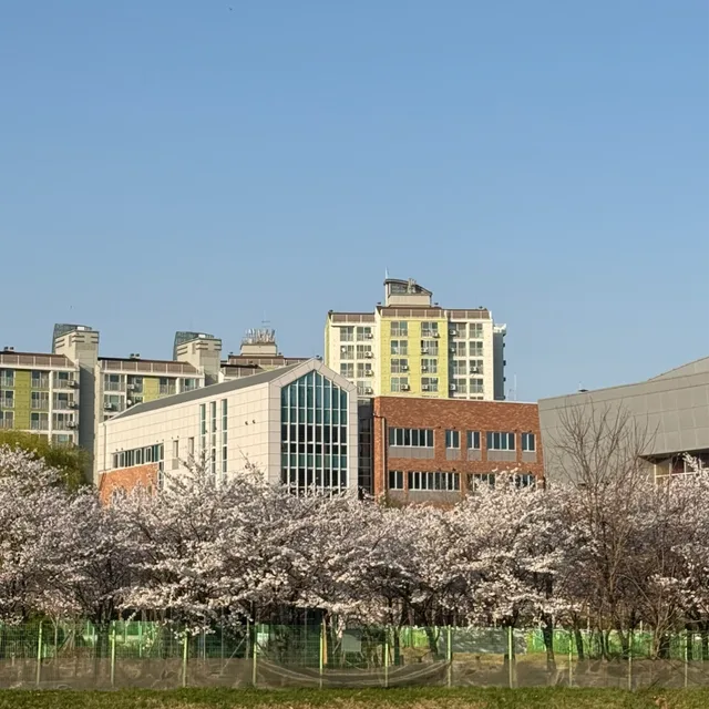 기쁨