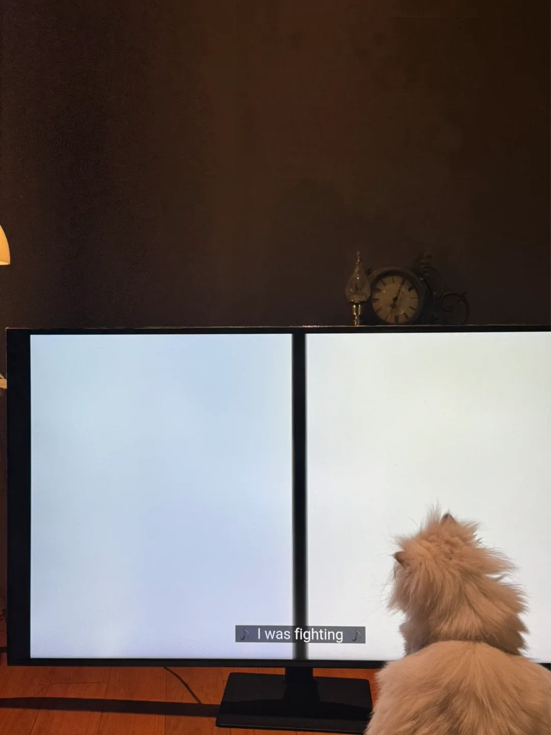 나는야고양이
