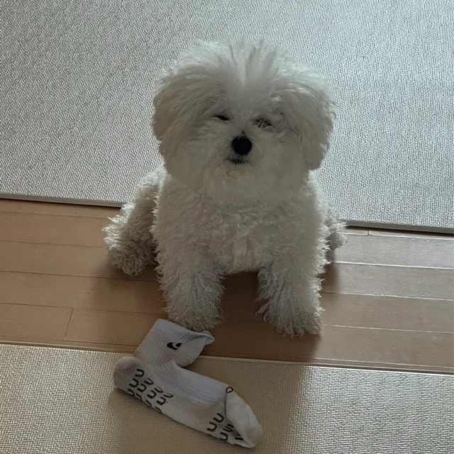 녹지원