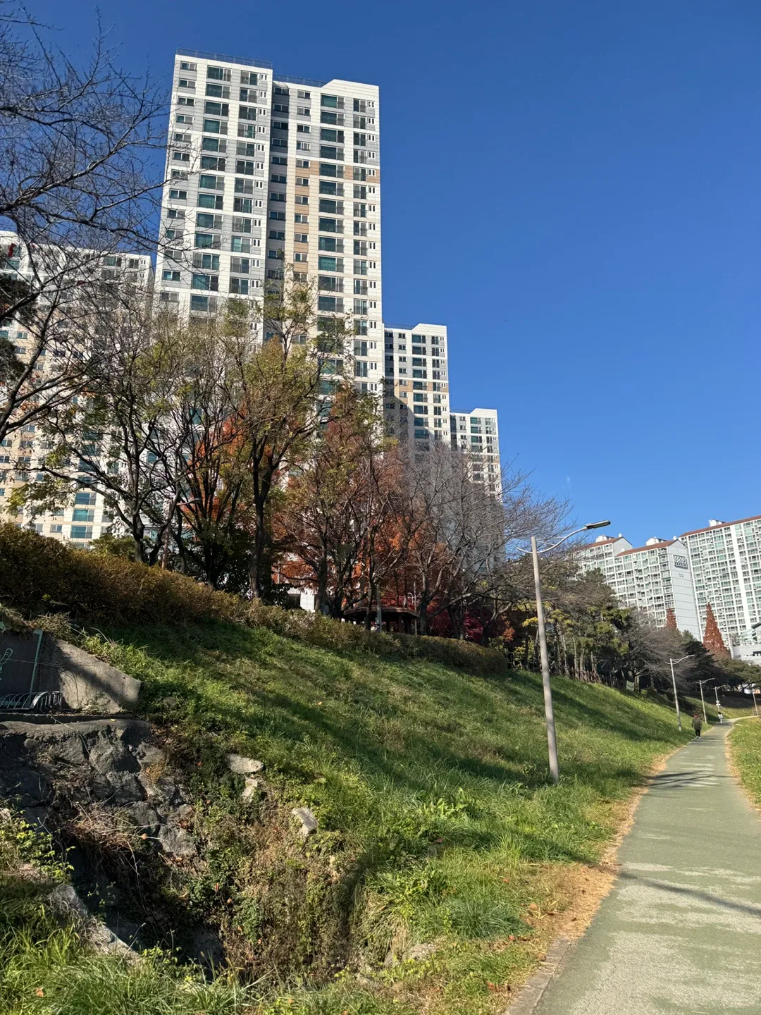 당근먹은삼계탕