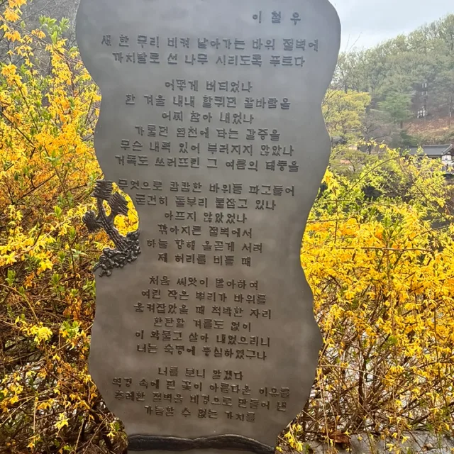 미니멀리