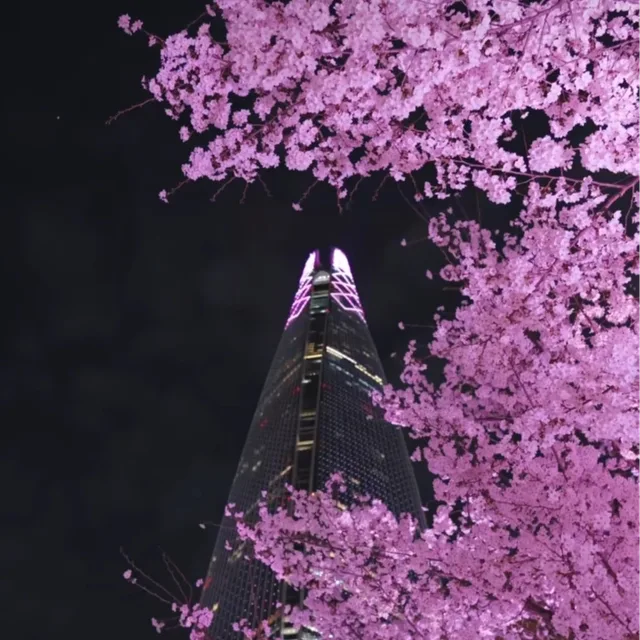 새로운시작