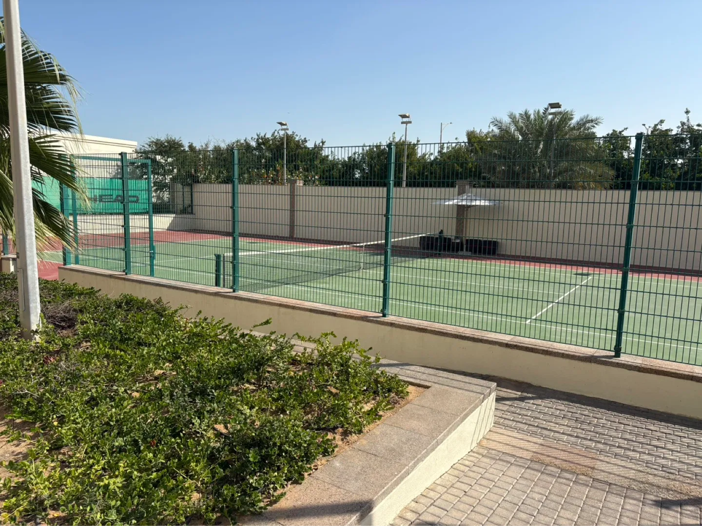 tennis