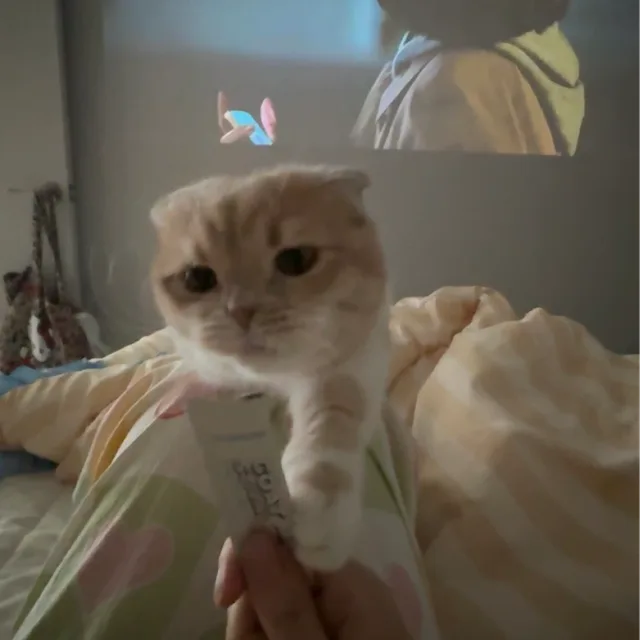 피키치크