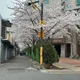 바니바니당그니