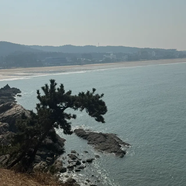 친절한사람만거래할래요