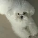 까꿍이
