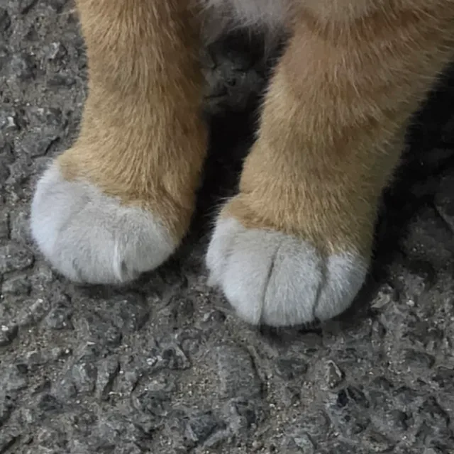 냥냥펀치